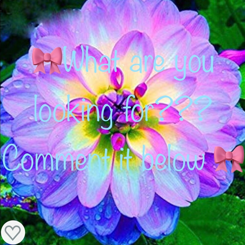 🎀What are you looking for? I can help! 🎀